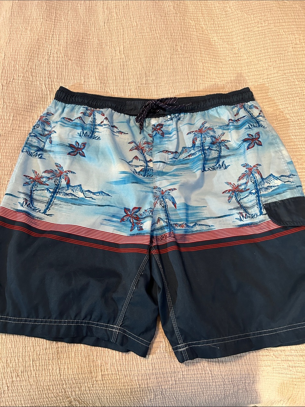 burnside Navy & Light Blue Tropical Print Swim Trunks